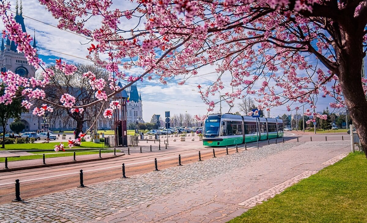 Vårkänsla i staden
